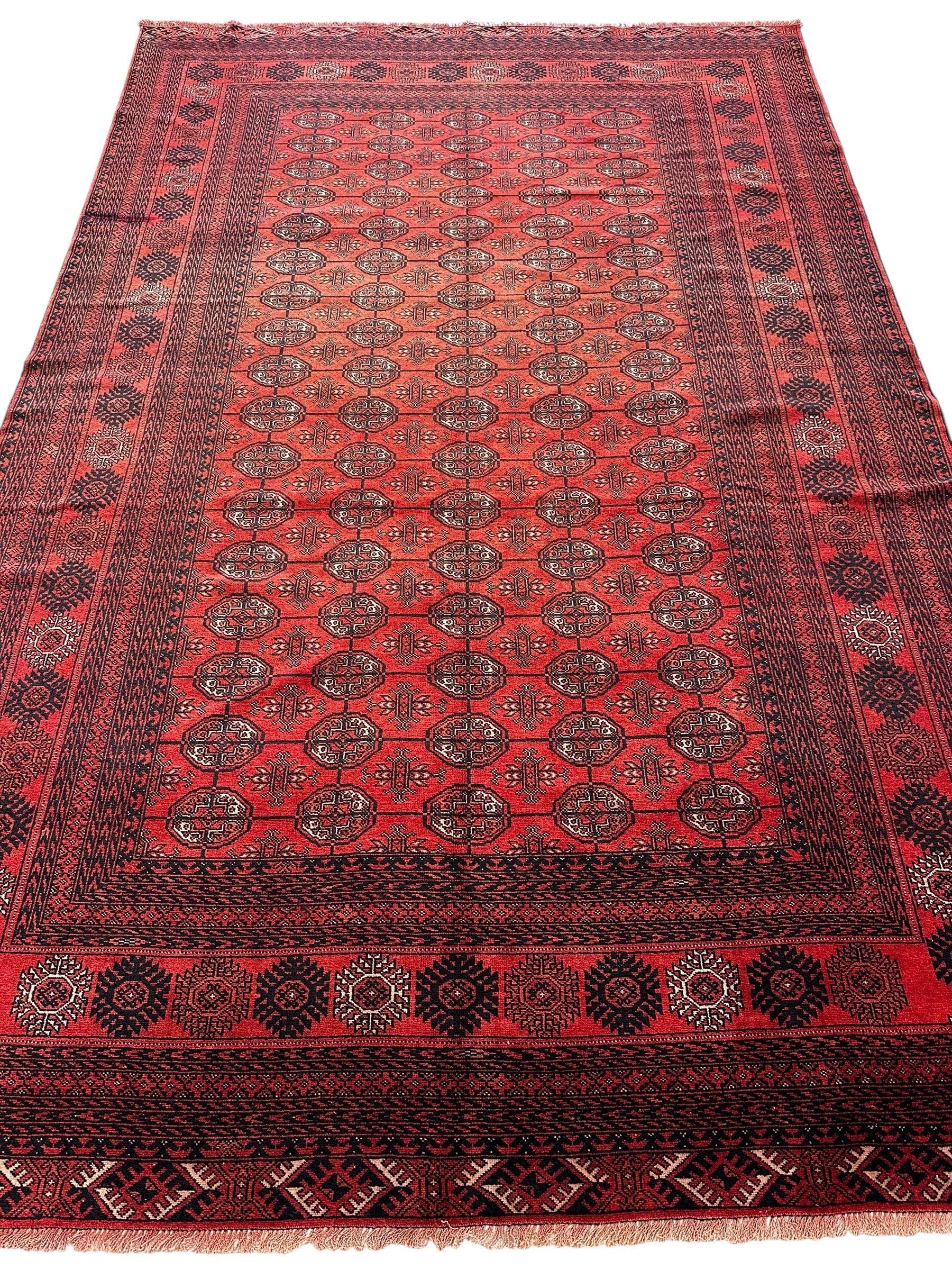 Hand-Knotted Afghani Mawri Wool Rug Red,Black 6'2" x 9'7"