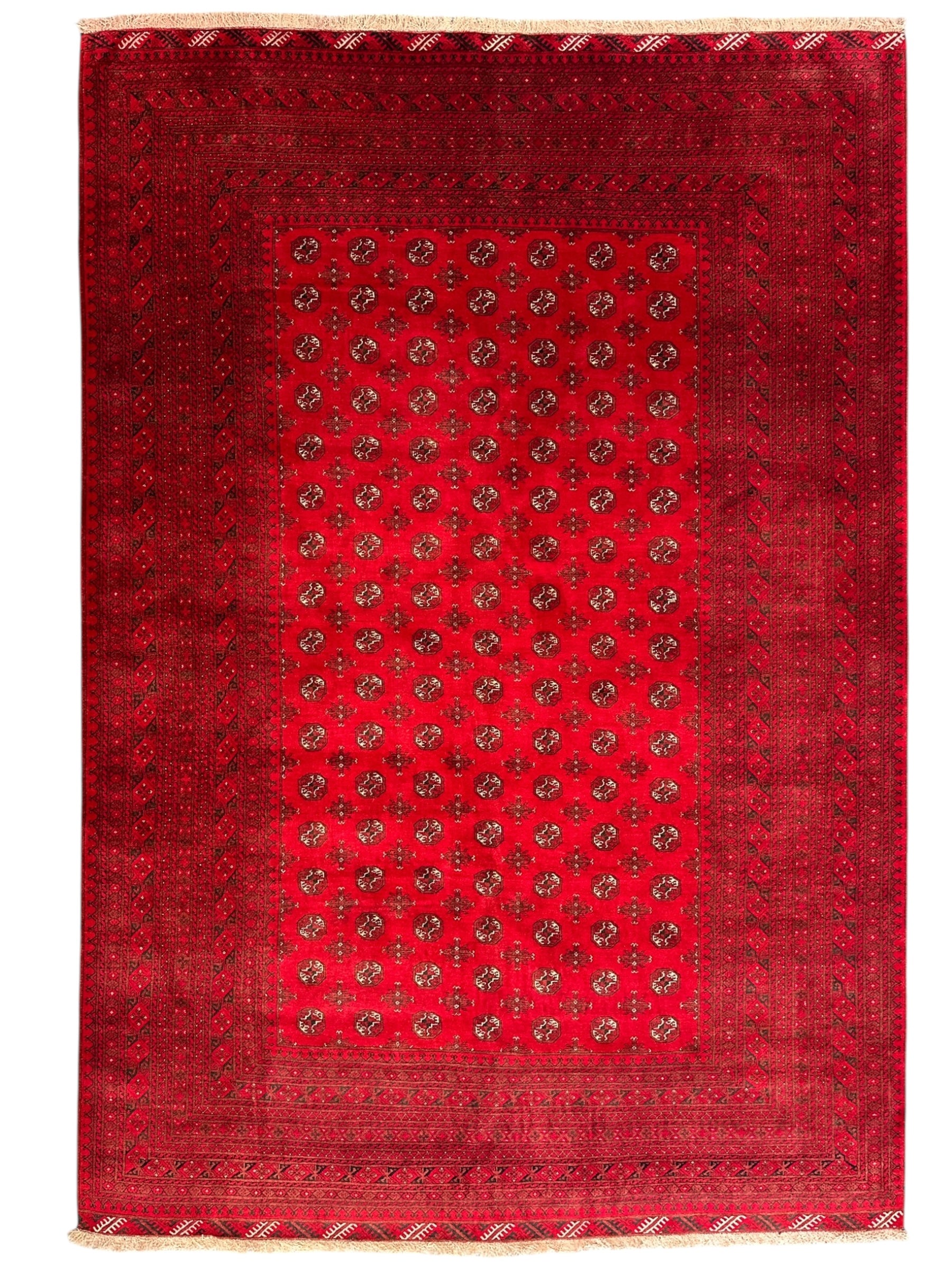 Hand-Knotted Afghani Mawri Wool Rug 6'5" x 9'5"