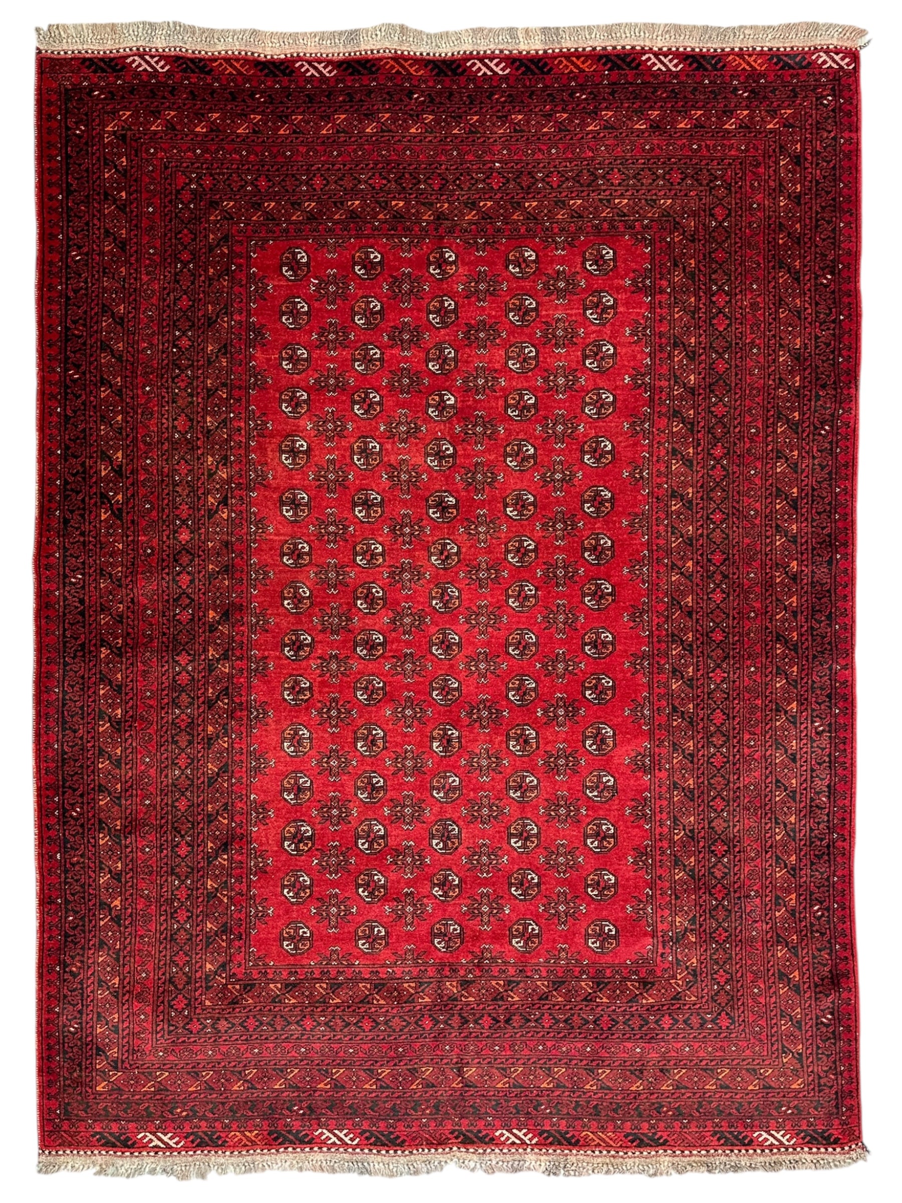 Hand-Knotted Afghani Shirintagab Wool Rug Red,Blue 6'6" x 8'9"