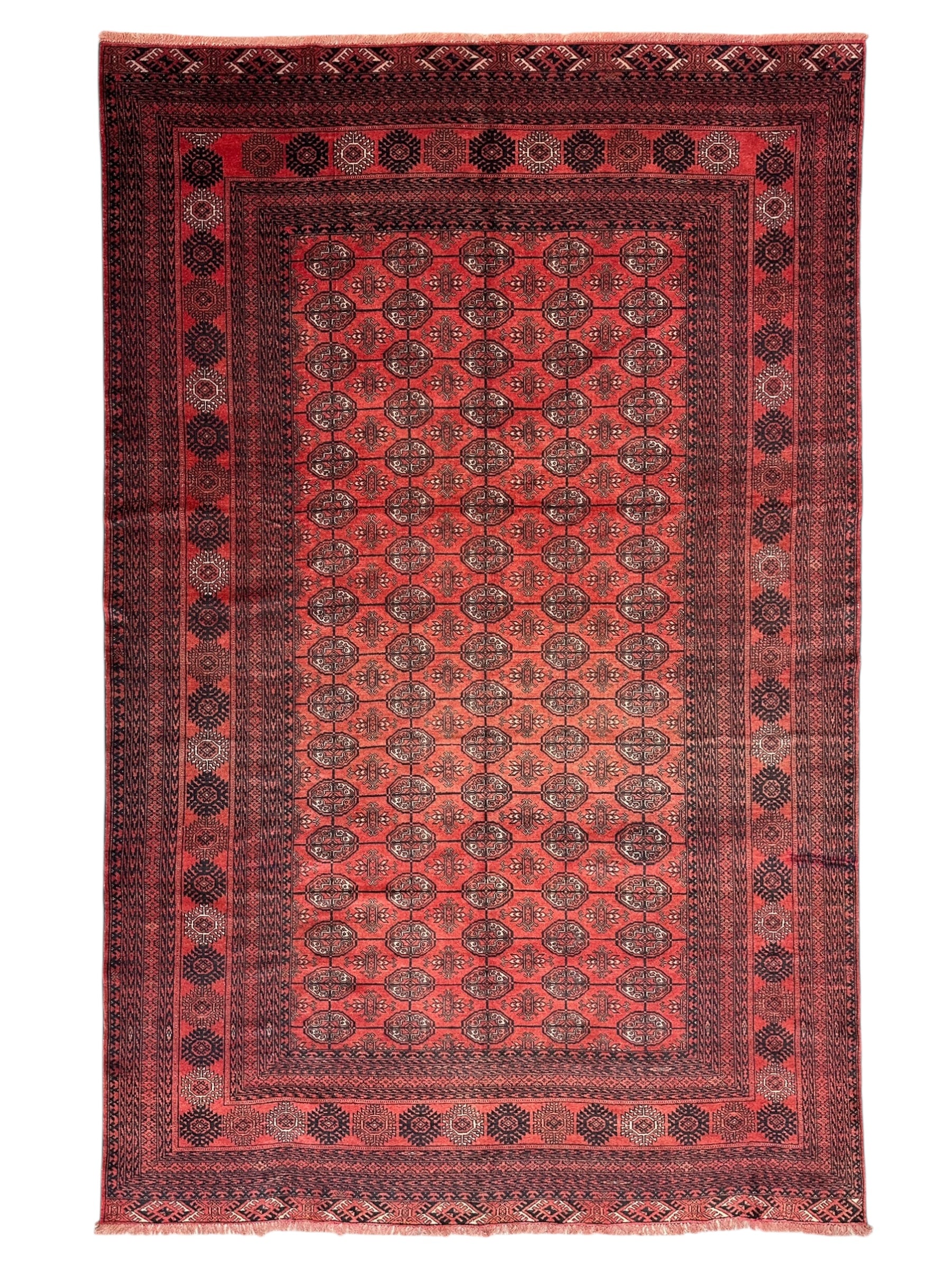 Hand-Knotted Afghani Mawri Wool Rug Red,Black 6'2" x 9'7"