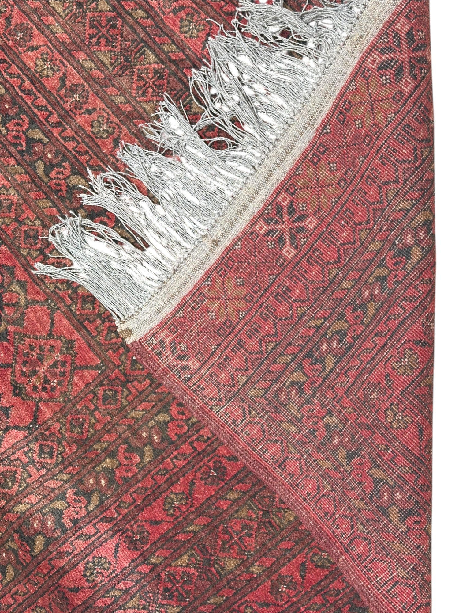 Hand-Knotted Afghani Bashiri Wool Rug Red,Black 6'7" x 9'
