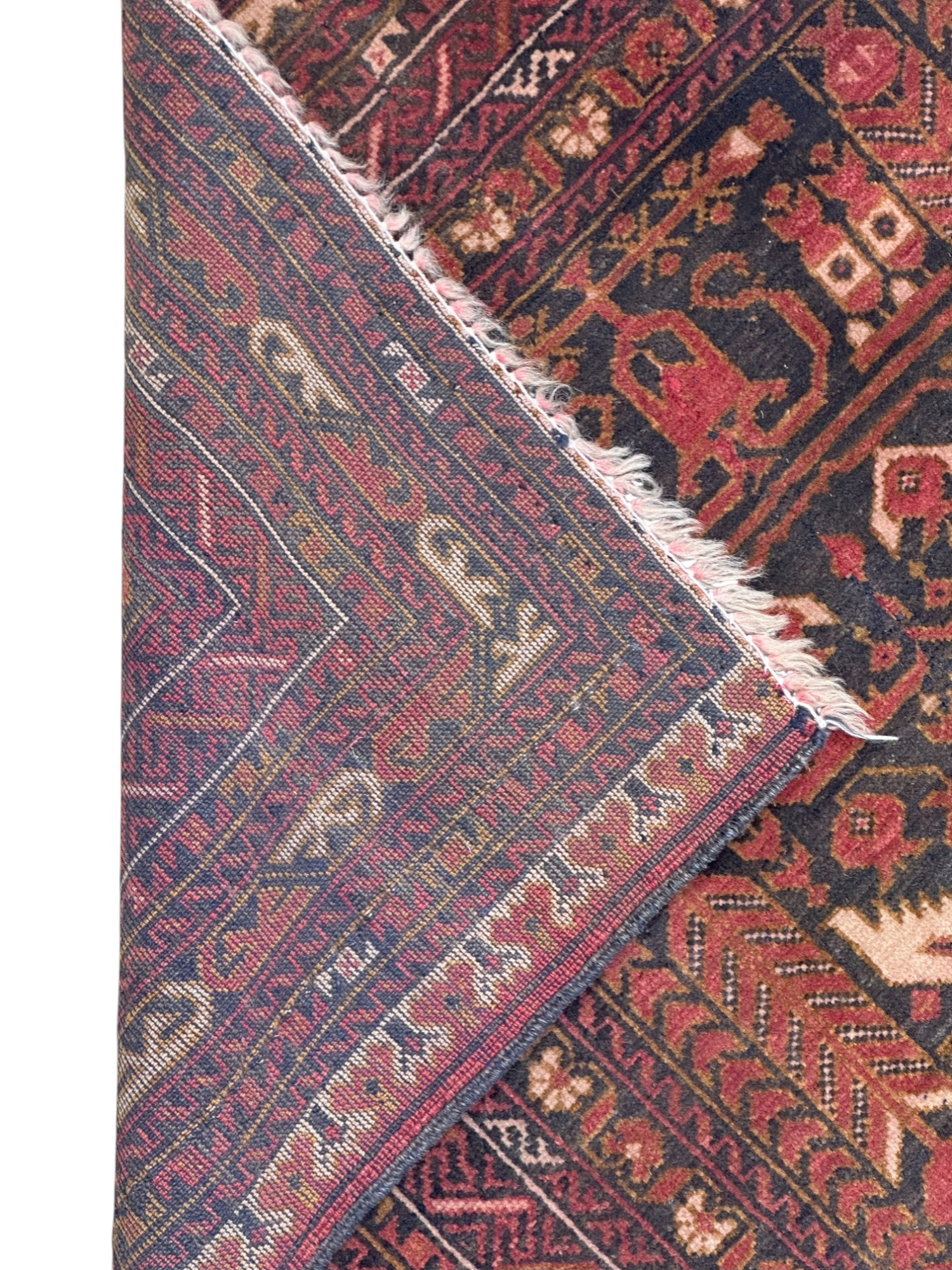 Hand-Knotted Afghani Alkhuja Wool Rug Cream,Red 2'9" x 3'9"