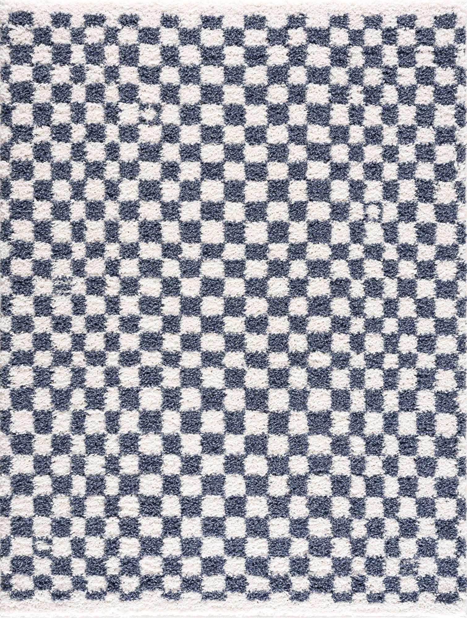Kieu Blue & White Checkered Area Rug