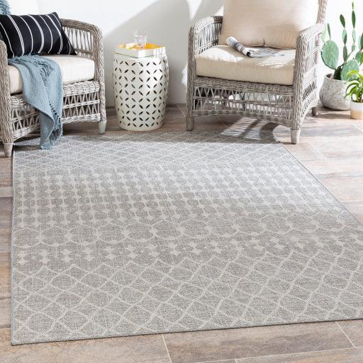 Surya Veranda VRD-2308 7'10" x 10'2" Rug