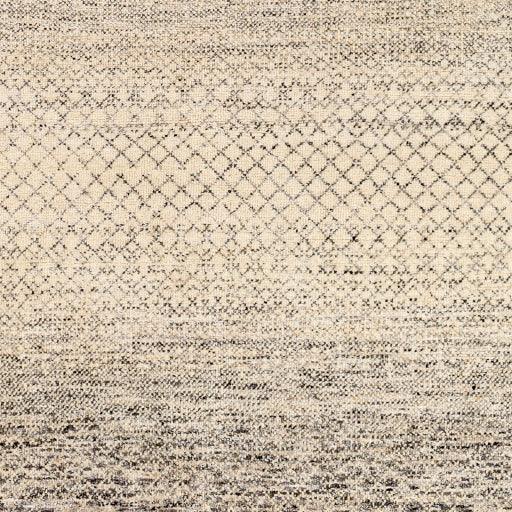 Surya Bethesda BTD-2303 2' x 3' Rug