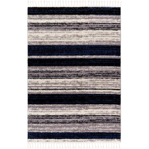 Surya Casablanca Shag CAG-2310 7'10" x 10' Rug