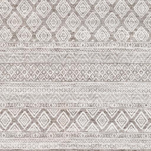 Surya Contempo CPO-3847 2'7" x 7'10" Rug