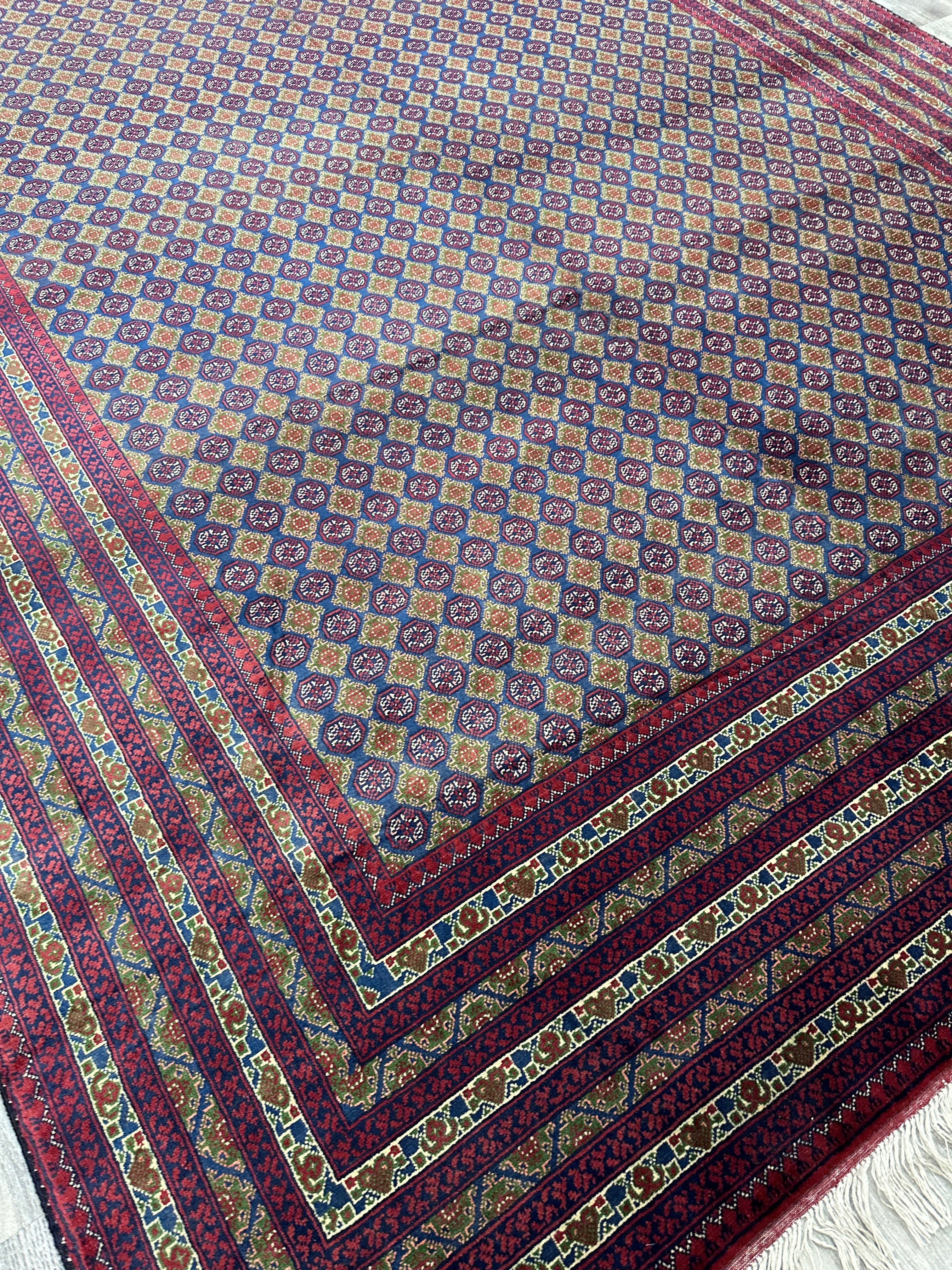 Hand-Knotted Afghani Khwaja Rushna Wool Rug | All-Over Pattern | 8′ x 11′