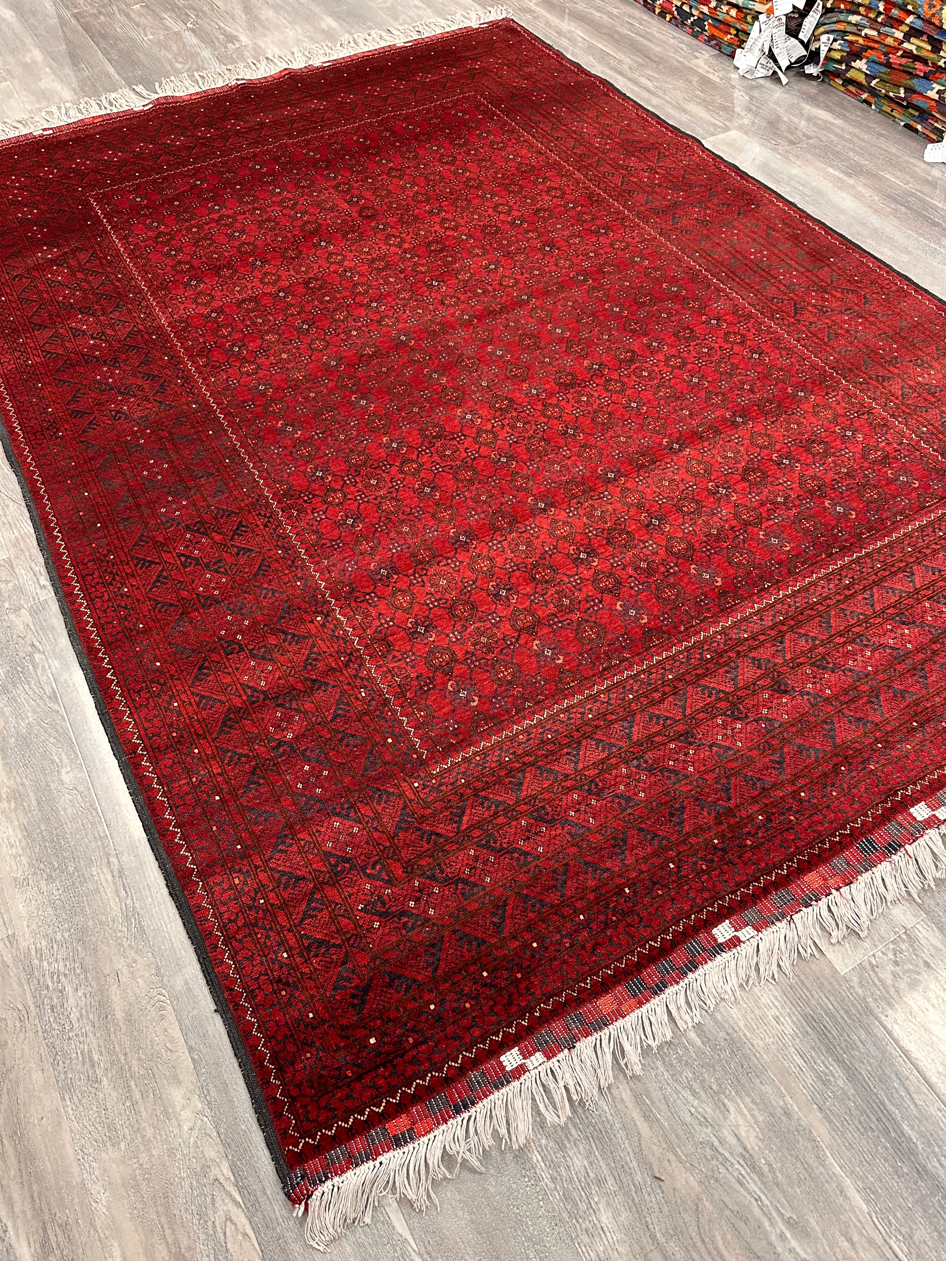 Afghan Bashore Rug 6’7” x 9’8” – Hand-Knotted Wool, Abrash, Original Fringe, No Repairs