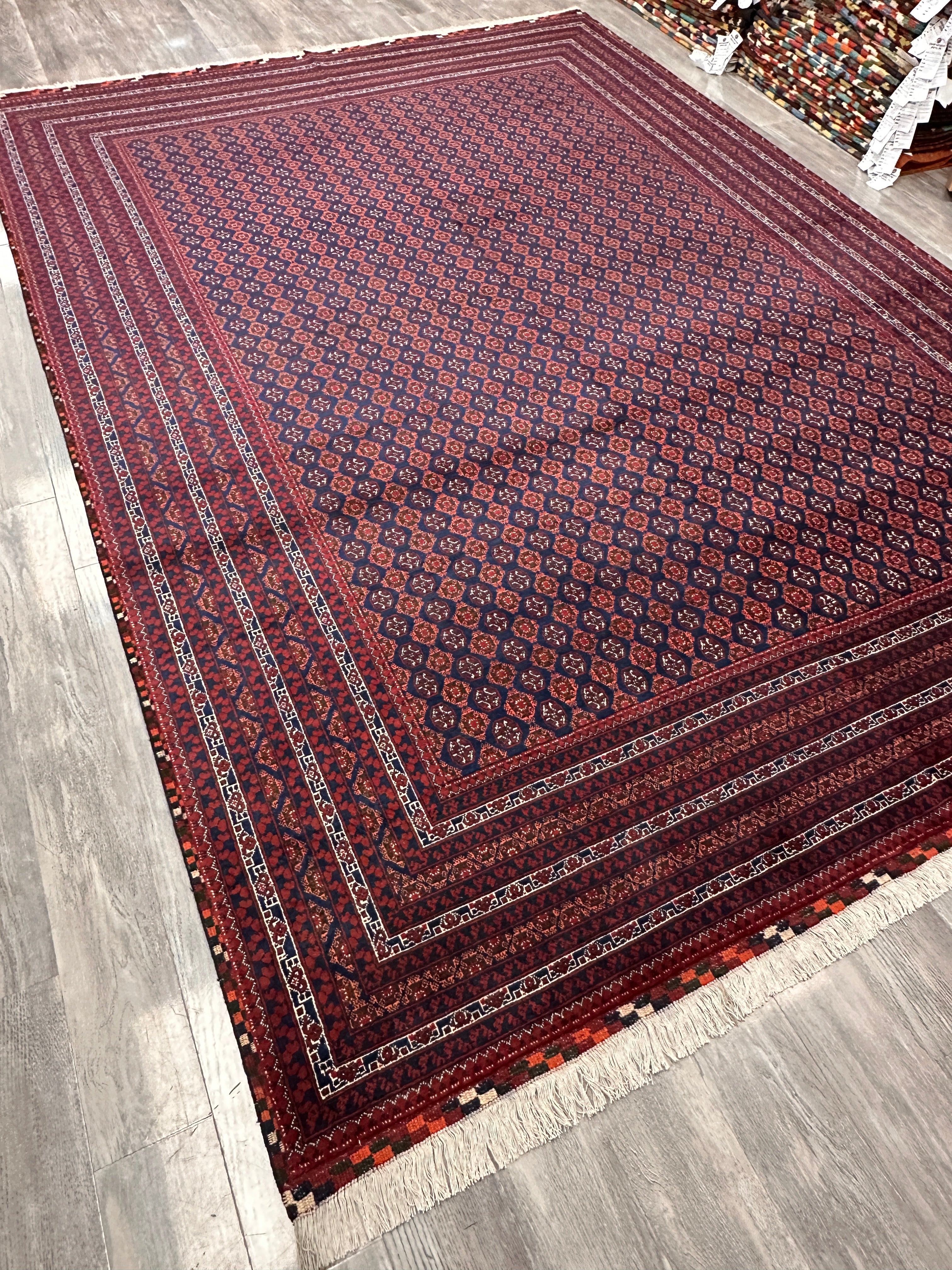 Hand-Knotted Afghani Khwaja Rushna Wool Rug | All-Over Pattern | 8′ x 11′