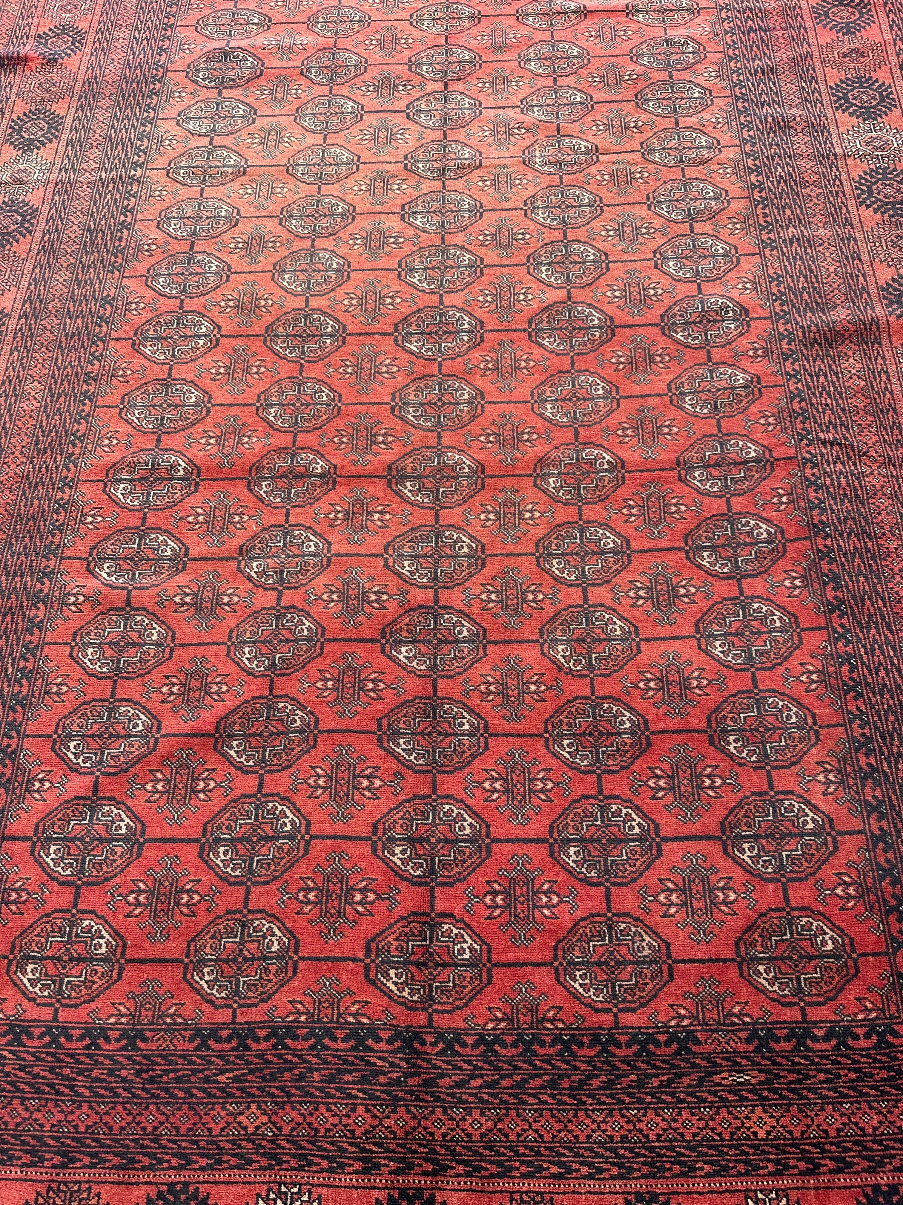 Hand-Knotted Afghani Mawri Wool Rug Red,Black 6'2" x 9'7"