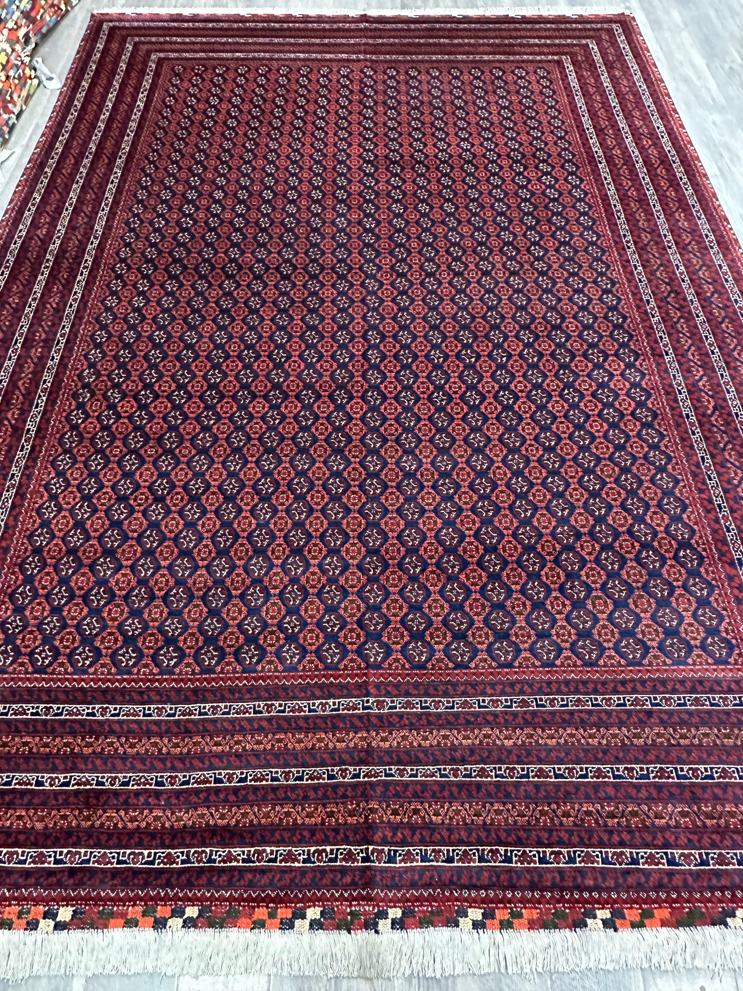Hand-Knotted Afghani Khwaja Rushna Wool Rug | All-Over Pattern | 8′ x 11′