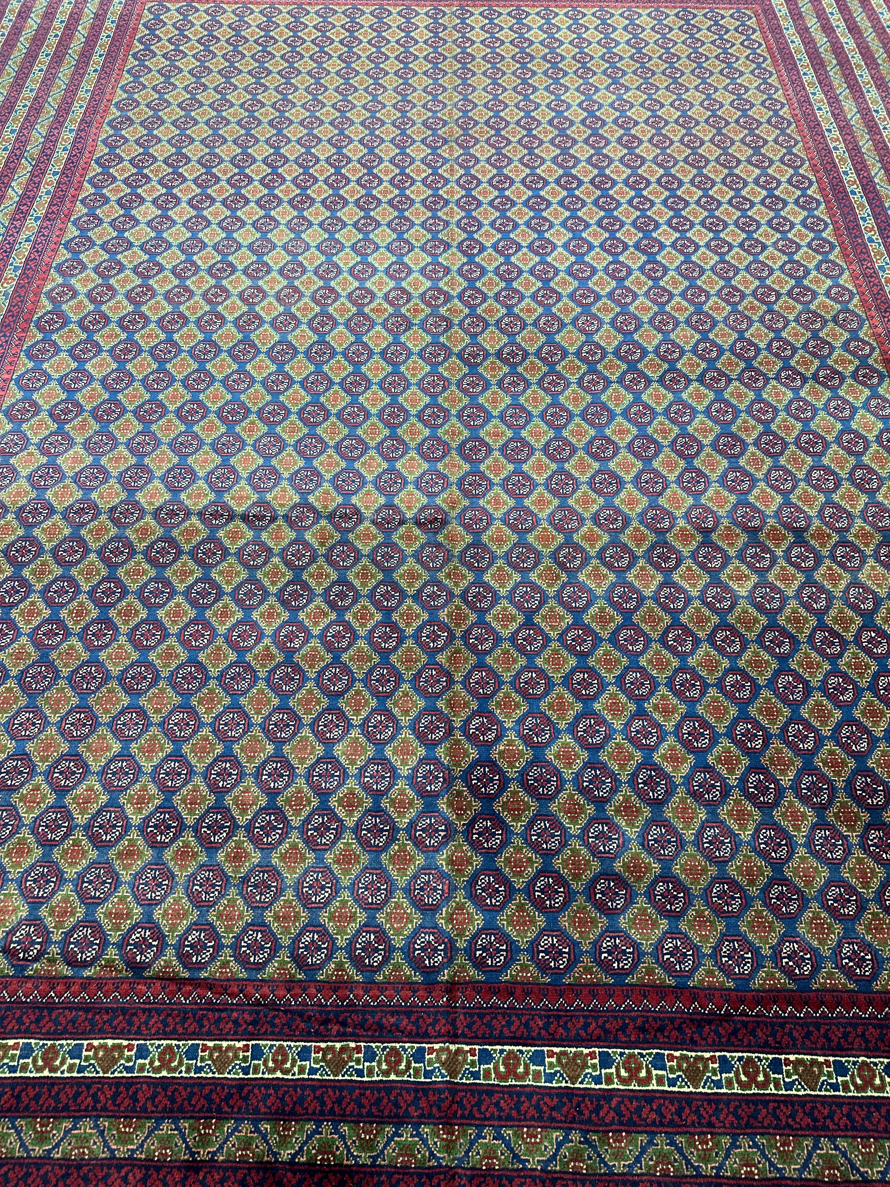 Hand-Knotted Afghani Khwaja Rushna Wool Rug | All-Over Pattern | 8′ x 11′