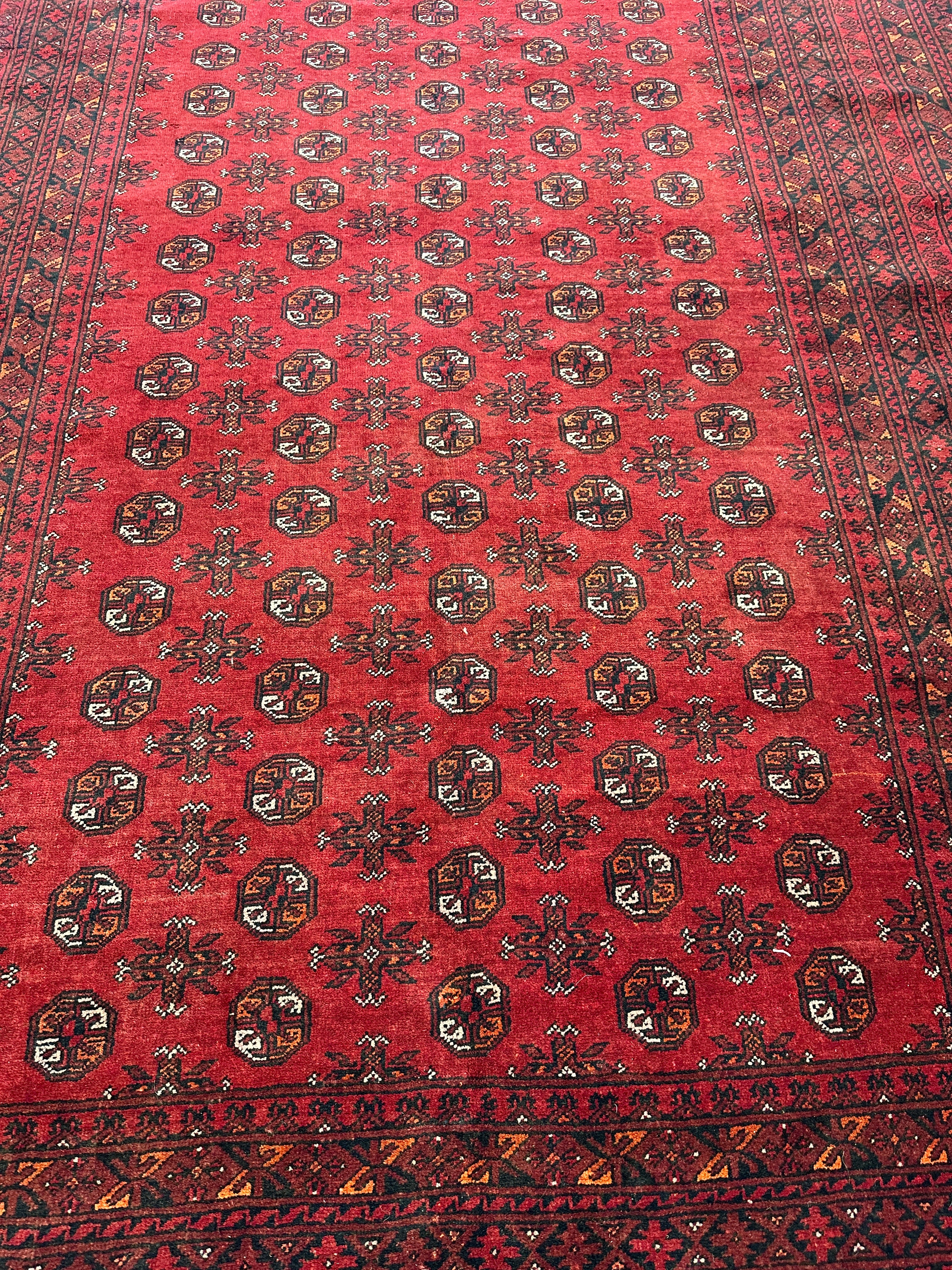 Hand-Knotted Afghani Shirintagab Wool Rug Red,Blue 6'6" x 8'9"