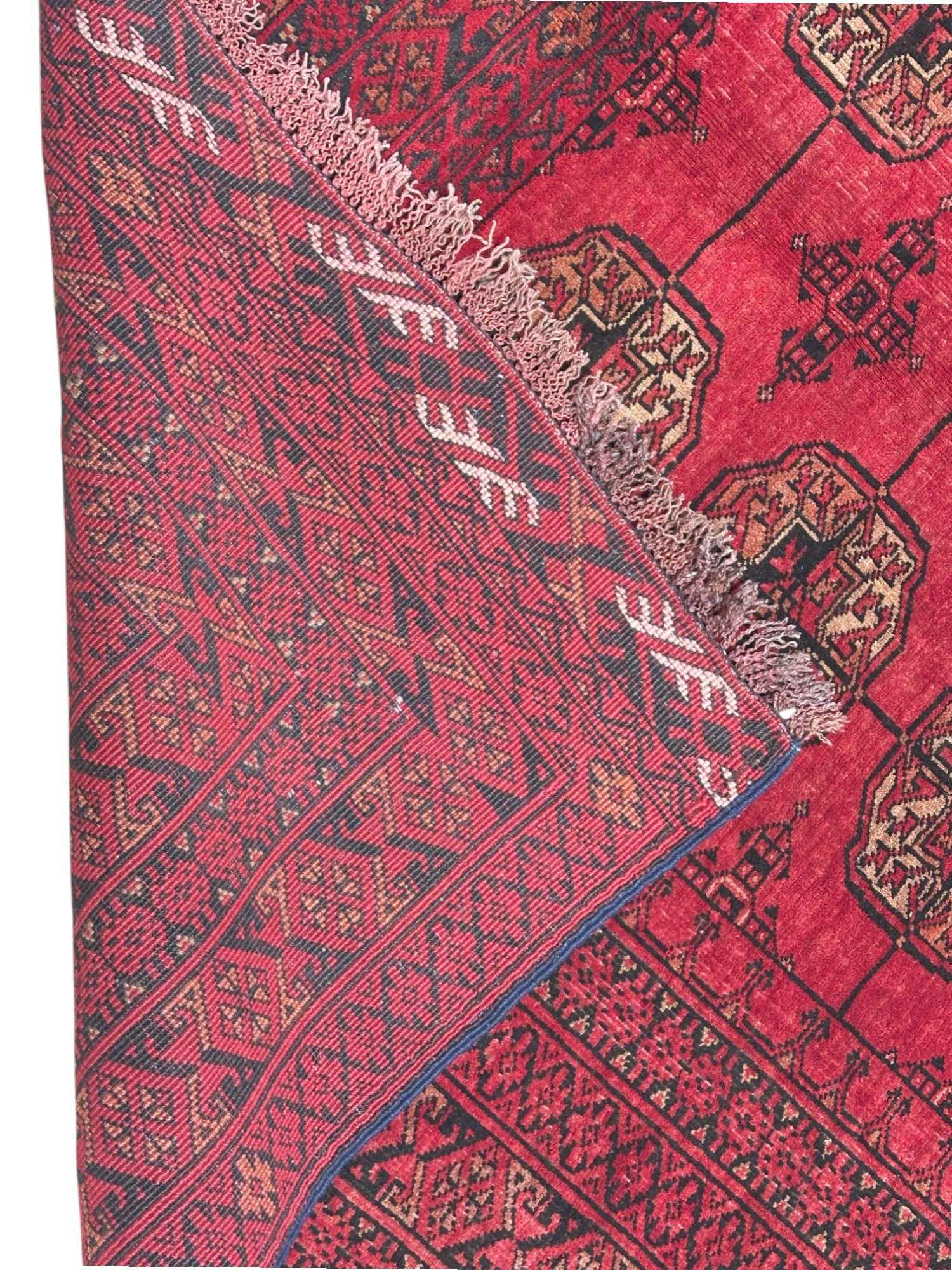 Hand-Knotted Afghani Fil pai Wool Rug Red,Cream,Black 5'10" x 9'3"