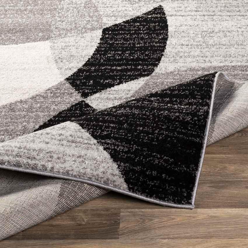 Aalburg Modern Medium Gray Area Rug