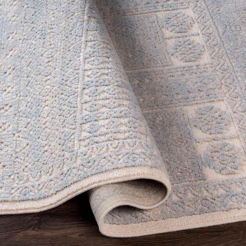 Acquoy Traditional Teal Area Rug
