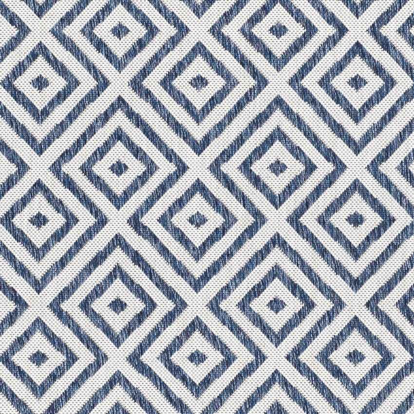 Aekinga Traditional Blue Area Rug