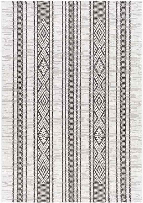 Aerdt Global Medium Gray Area Rug