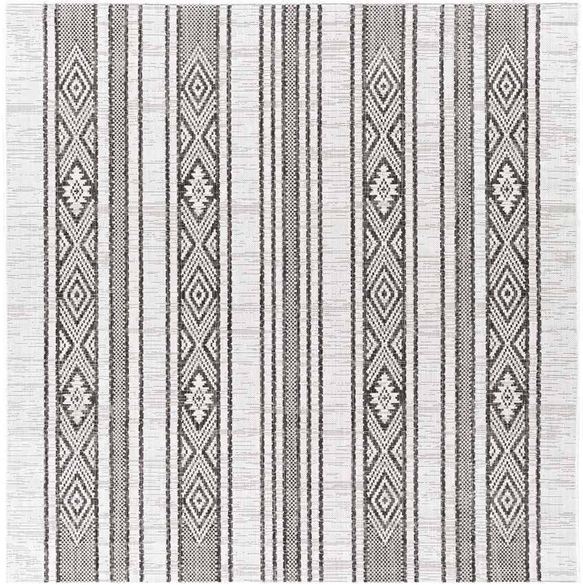 Aerdt Global Medium Gray Area Rug