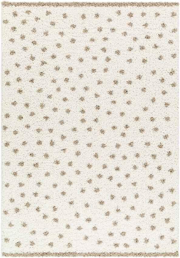Aerica Modern Ivory/Brown Area Rug