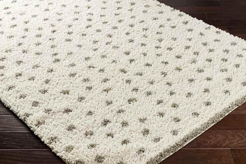 Aerica Modern Ivory/Camel Area Rug