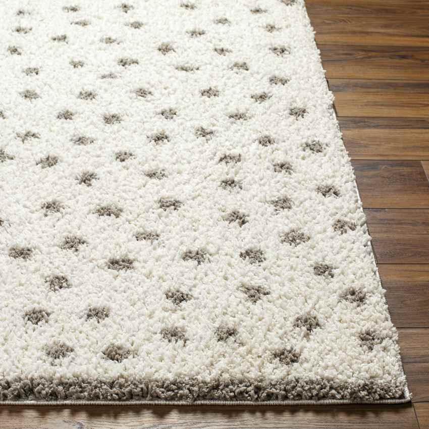 Aerica Modern Ivory/Camel Area Rug