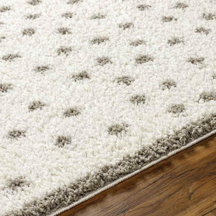 Aerica Modern Ivory/Camel Area Rug