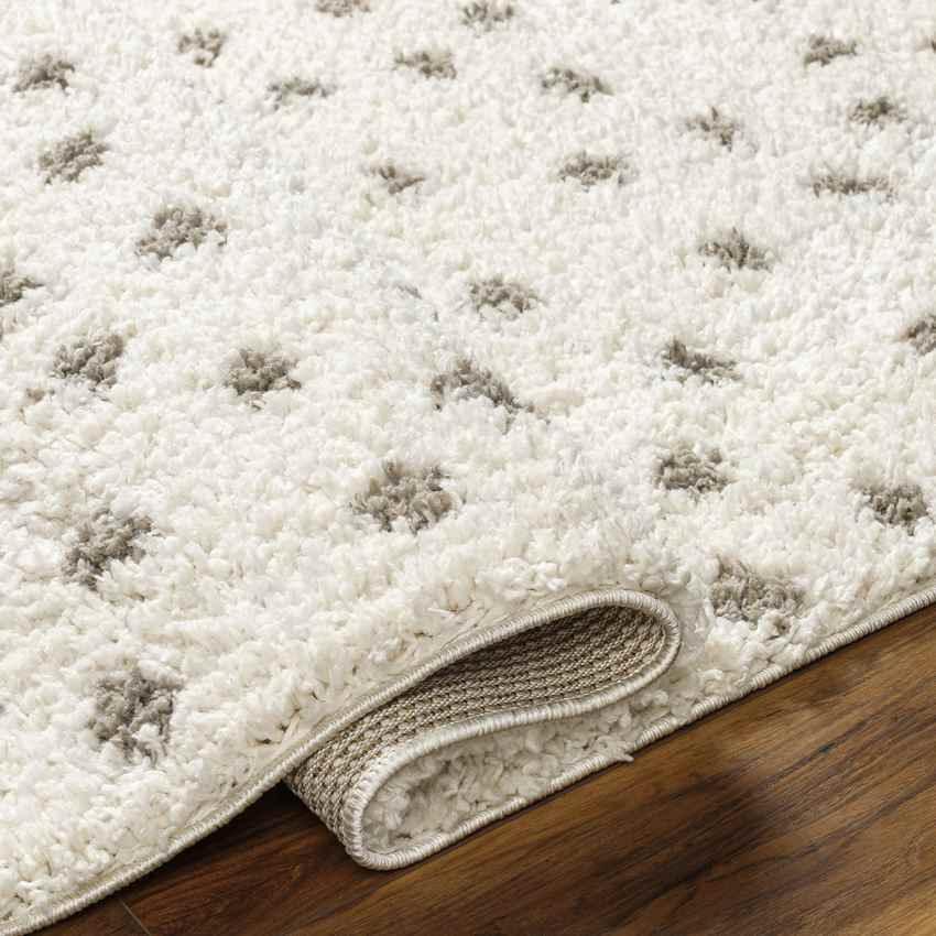 Aerica Modern Ivory/Camel Area Rug