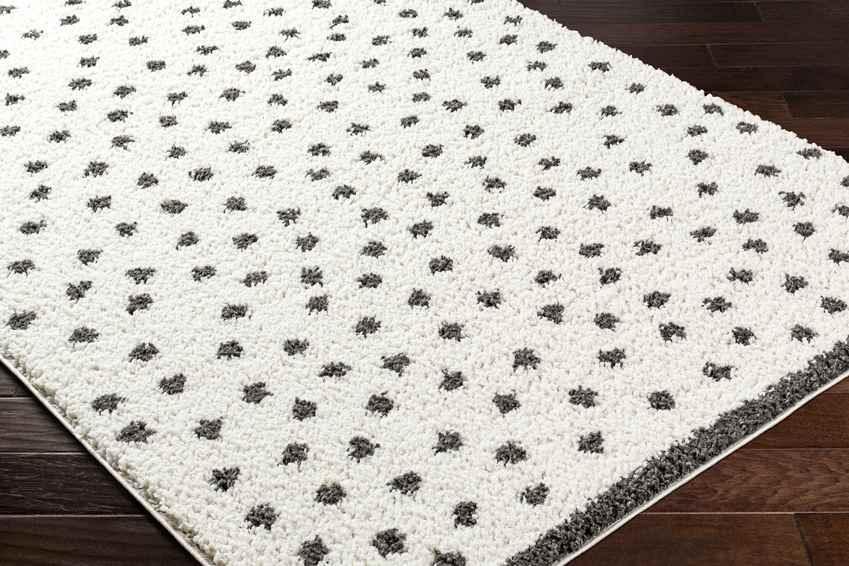 Aerica Modern Ivory/Dark Gray Area Rug