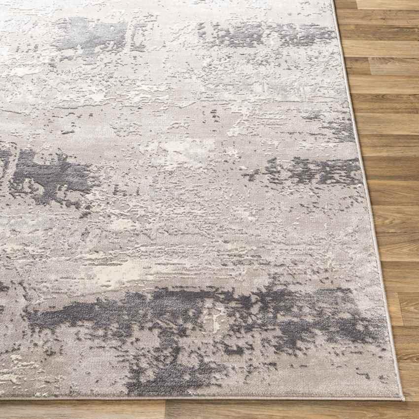 Agen Modern Charcoal Area Rug
