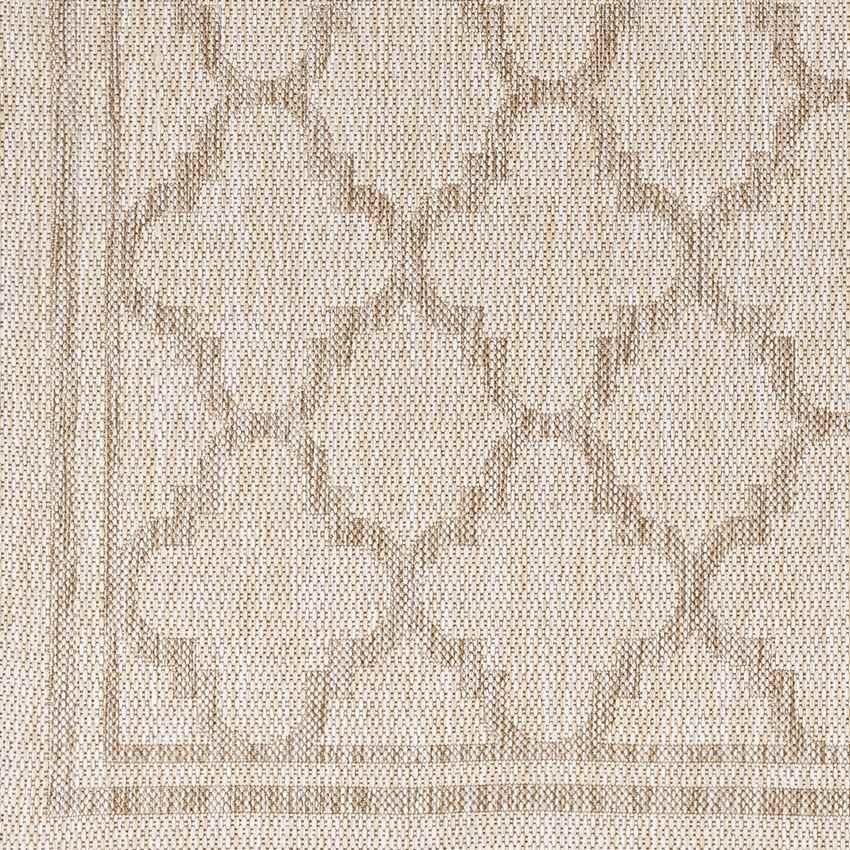 Agenda Traditional Beige Area Rug