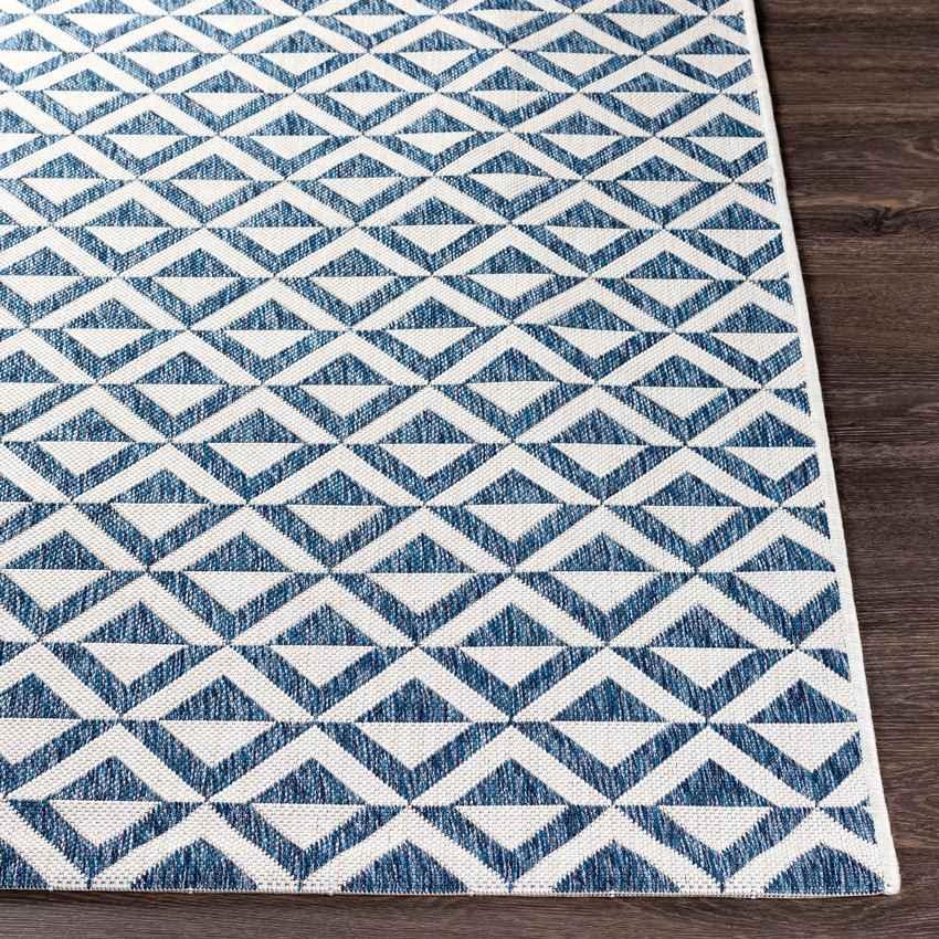 Akkrum Modern Blue Area Rug
