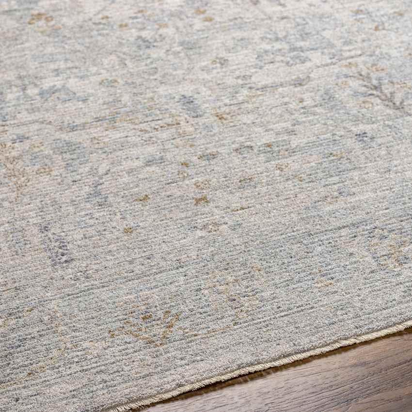 Anthony Traditional Beige Area Rug