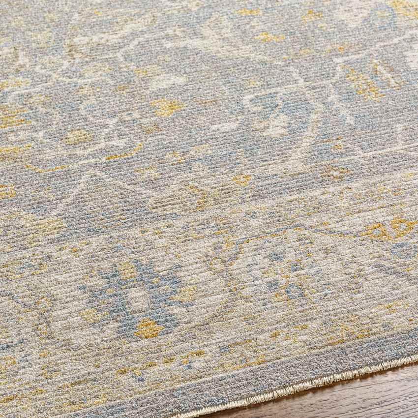 Anthony Traditional Pale Orange Area Rug