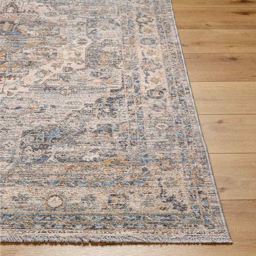 Bellewood Traditional Medium Gray Area Rug