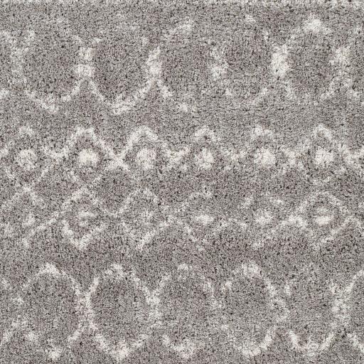 Surya Aliyah Shag ALH-2304 7'10" x 10' Rug