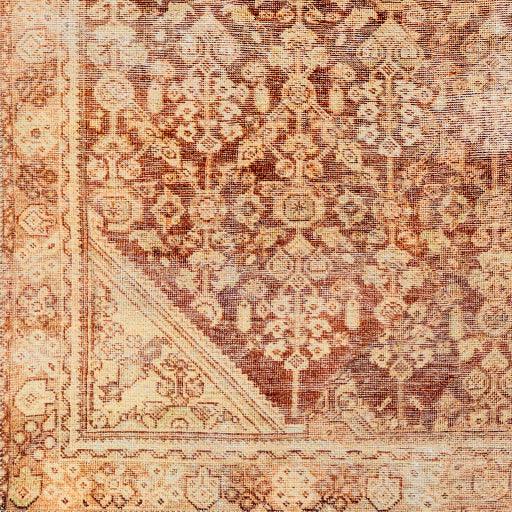Surya Amelie AML-2345 8'10" x 12' Rug