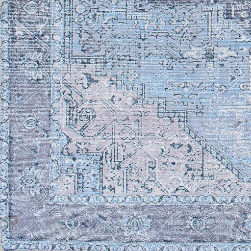 Surya Amelie AML-2358 2' x 2'11" Rug