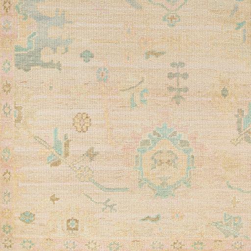 Surya Antalya AAT-2308 8' x 10' Rug