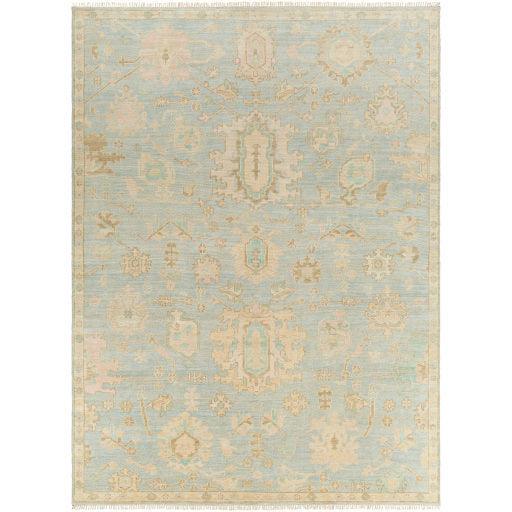 Surya Antalya AAT-2310 10' x 14' Rug