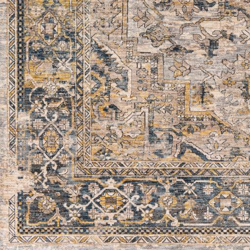 Surya Aspendos APS-2321 2'7" x 10' Rug
