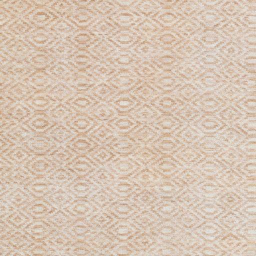 Surya Astara ASA-1002 2' x 3' Rug