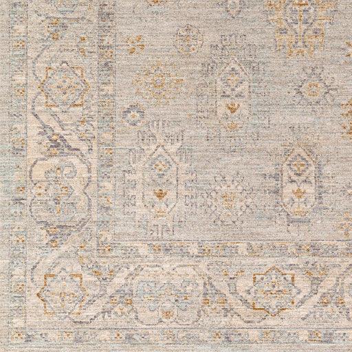 Surya Avant Garde AVT-2343 2' x 3' Rug