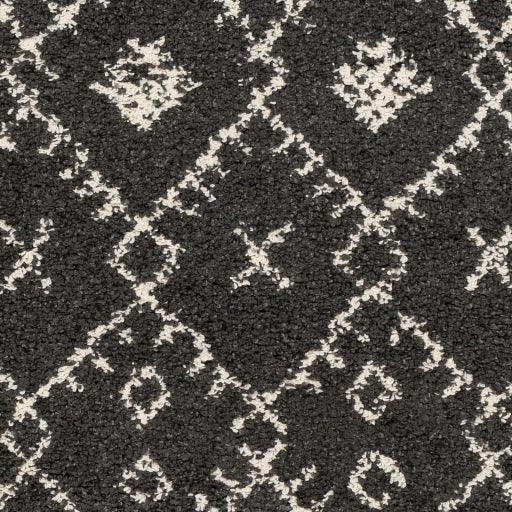 Surya Berber Shag BBE-2308 3'11" x 5'7" Rug