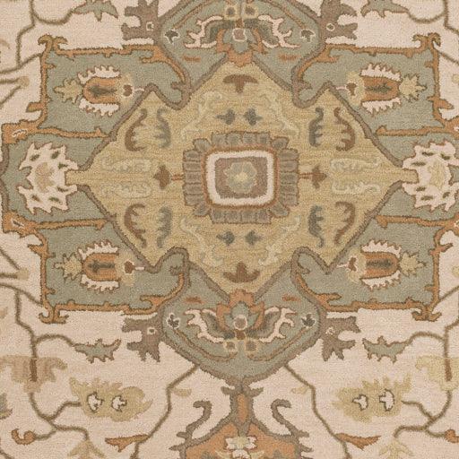 Surya Caesar CAE-1143 2' x 4' Hearth Rug