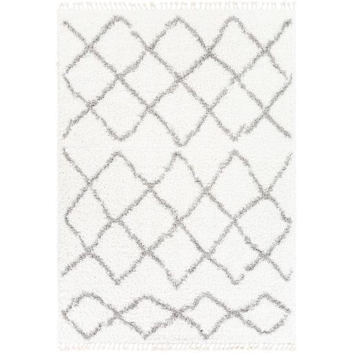 Surya California Shag CAF-2301 5'3" x 7'3" Rug