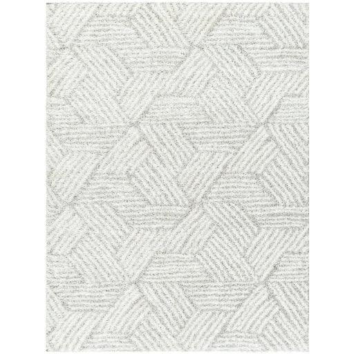 Surya Cloudy Shag CDG-2320 5'3" x 7' Rug