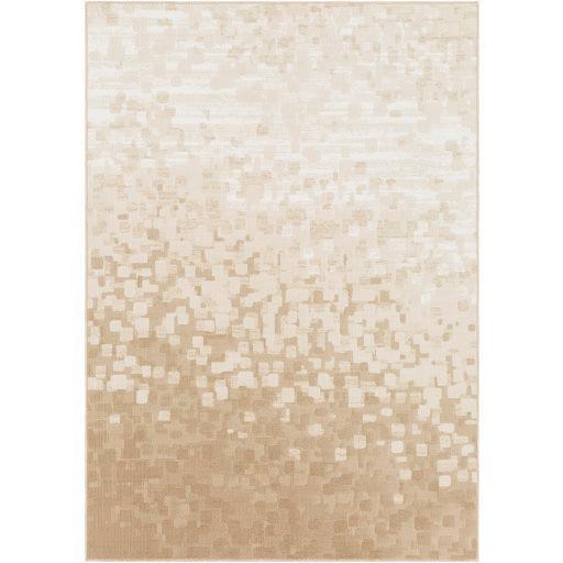 Surya Contempo CPO-3841 2' x 2'11" Rug
