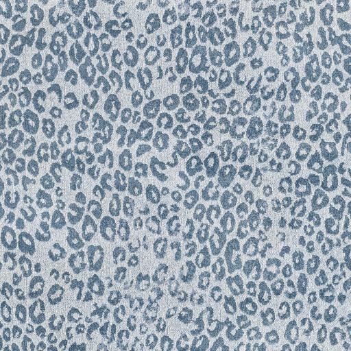 Surya Contempo CPO-3851 2' x 2'11" Rug
